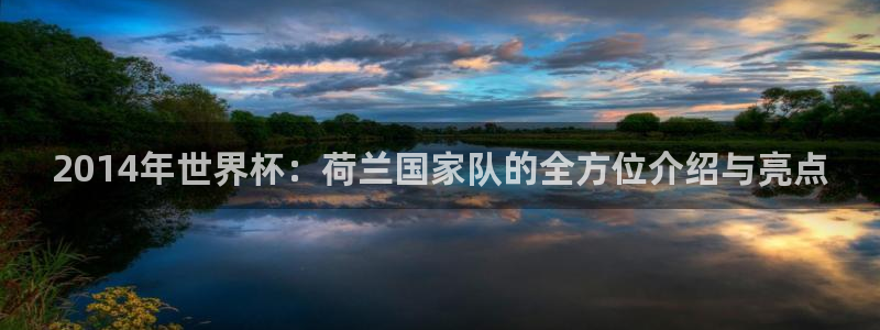 世界杯直播网站:2014年世界杯:荷兰国家队的全方位介绍与亮点