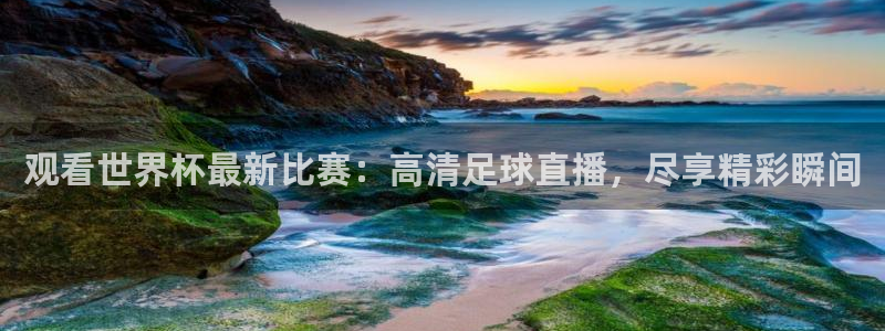 世界杯足球:观看世界杯最新比赛:高清足球直播,尽享精彩瞬间