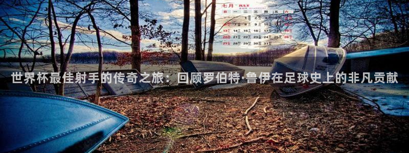 欧洲世界杯预选赛赛程:世界杯最佳射手的传奇之旅:回顾罗伯特·鲁伊在足球史上的非凡贡献