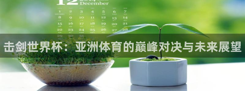 女足世界杯赛程:击剑世界杯:亚洲体育的巅峰对决与未来展望