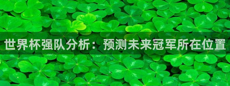 世界杯女足直播:世界杯强队分析:预测未来冠军所在位置