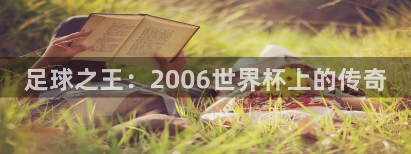 世界杯直播:足球之王:2006世界杯上的传奇