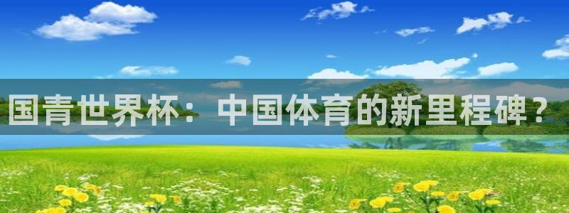 2006年世界杯:国青世界杯:中国体育的新里程碑?