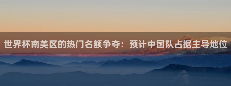 世界杯亚洲区预选赛积分榜:世界杯南美区的热门名额争夺:预计中国队占据主导地位
