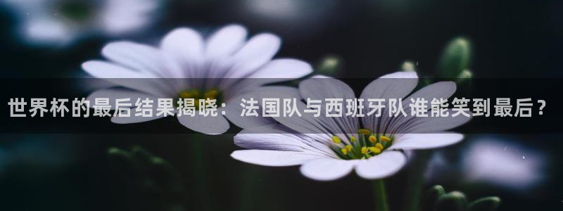 足球世界杯赛程:世界杯的最后结果揭晓:法国队与西班牙队谁能笑到最后?