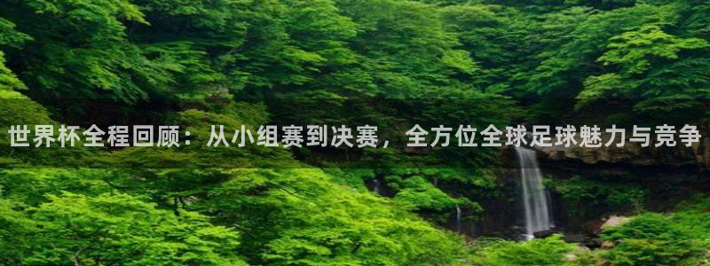 女足世界杯直播在线观看免费高清:世界杯全程回顾:从小组赛到决赛,全方位全球足球魅力与竞争